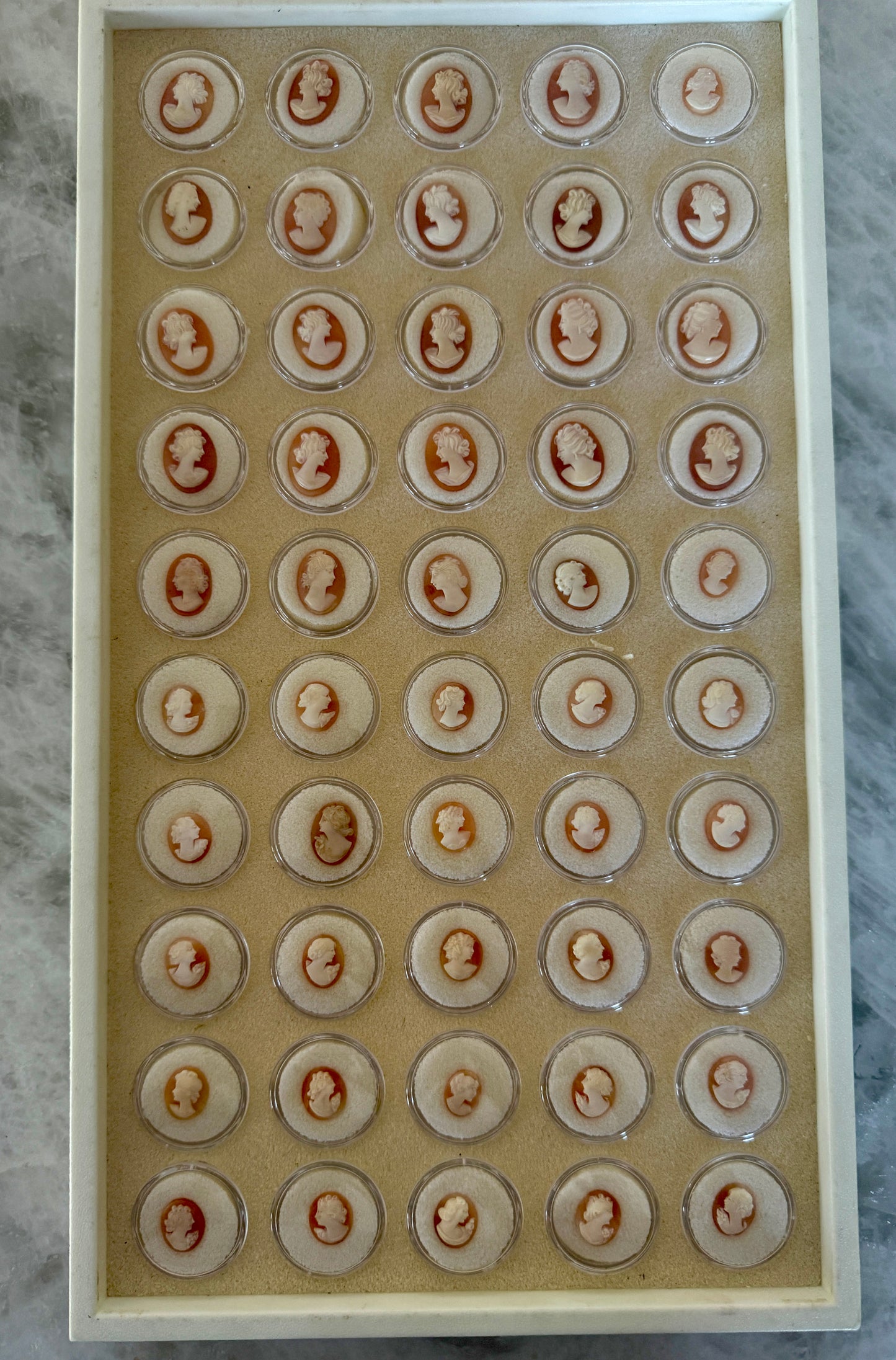 Sardinian Cameo, Coral/Shell and MOP - 2 Sizes