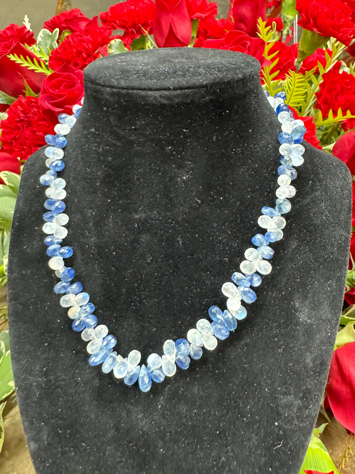 14in Kyanite Moonstone Briolette Necklace