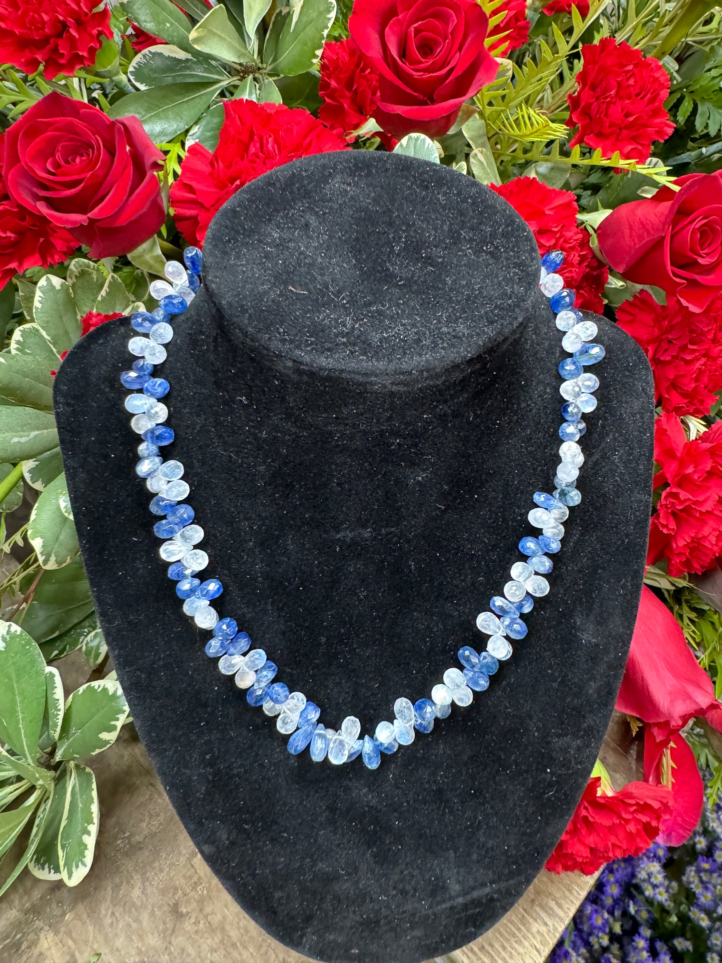 15in Kyanite Moonstone Briolette Necklace