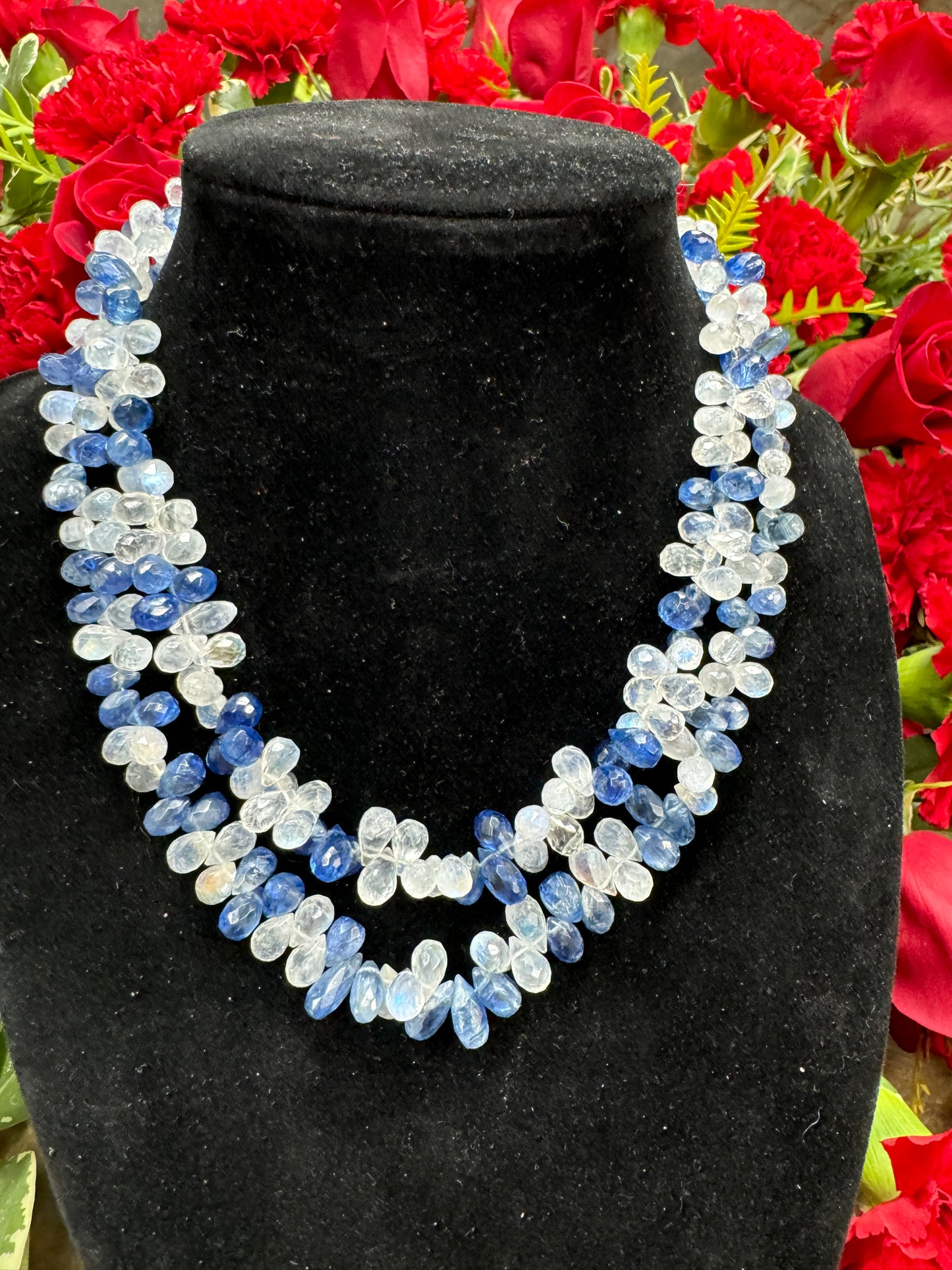 14in Kyanite Moonstone Briolette Necklace